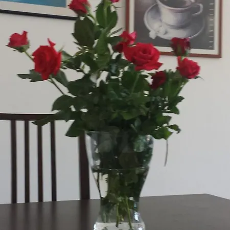 Apartman Paris Coastal Limassol
